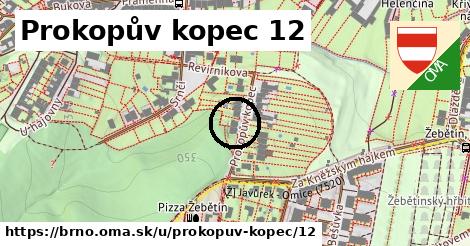 Prokopův kopec 12, Brno