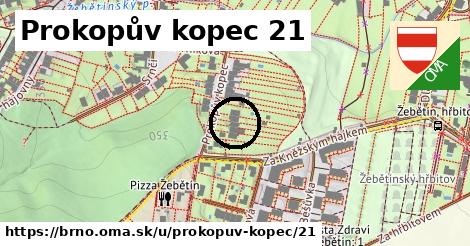 Prokopův kopec 21, Brno