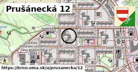 Prušánecká 12, Brno