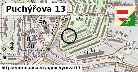 Puchýřova 13, Brno