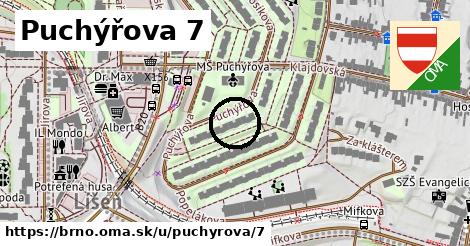 Puchýřova 7, Brno