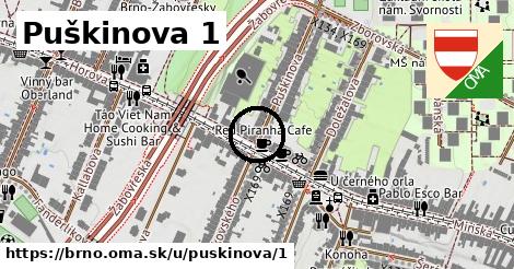 Puškinova 1, Brno