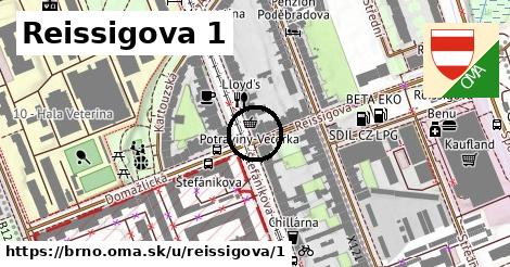 Reissigova 1, Brno