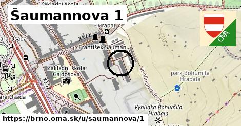 Šaumannova 1, Brno