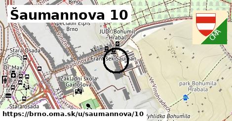 Šaumannova 10, Brno