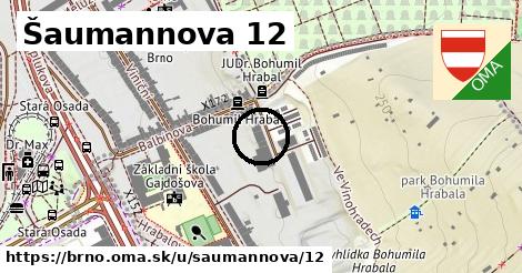 Šaumannova 12, Brno