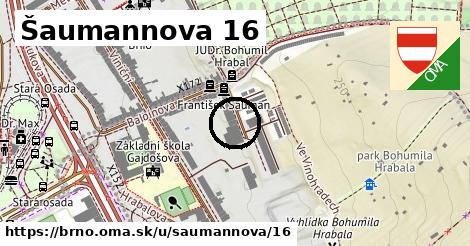 Šaumannova 16, Brno