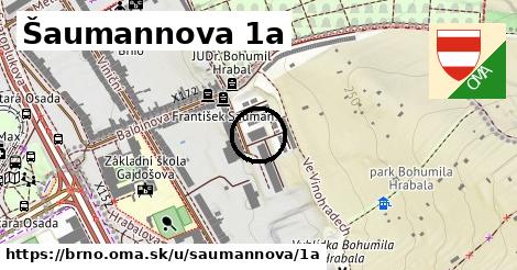 Šaumannova 1a, Brno