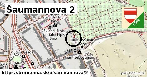 Šaumannova 2, Brno