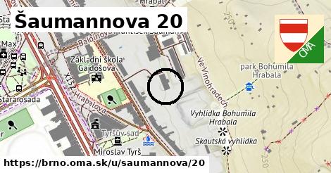 Šaumannova 20, Brno