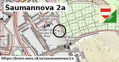 Šaumannova 2a, Brno