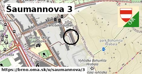 Šaumannova 3, Brno