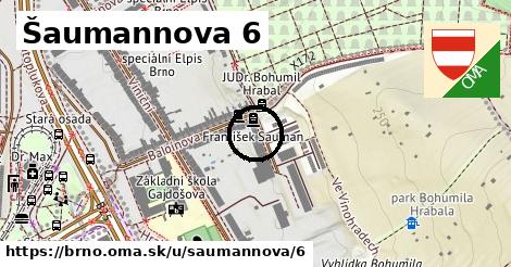 Šaumannova 6, Brno