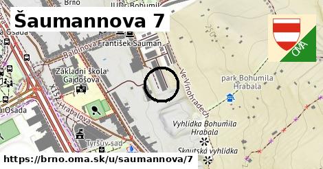 Šaumannova 7, Brno