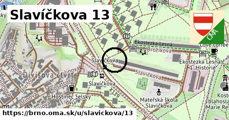 Slavíčkova 13, Brno