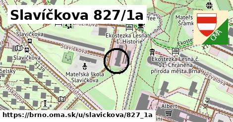 Slavíčkova 827/1a, Brno