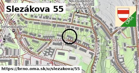 Slezákova 55, Brno