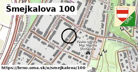 Šmejkalova 100, Brno