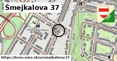 Šmejkalova 37, Brno