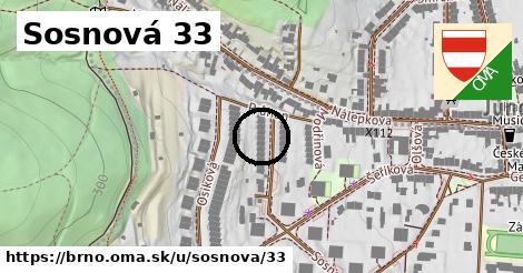 Sosnová 33, Brno