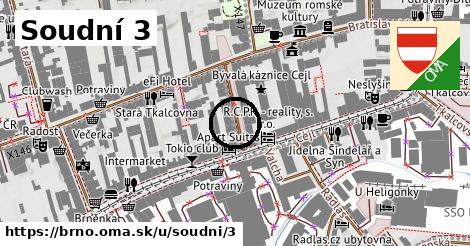 Soudní 3, Brno