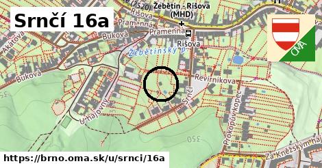 Srnčí 16a, Brno