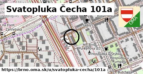 Svatopluka Čecha 101a, Brno