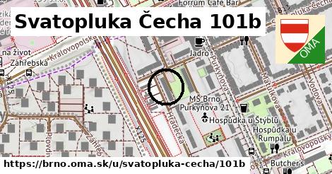 Svatopluka Čecha 101b, Brno