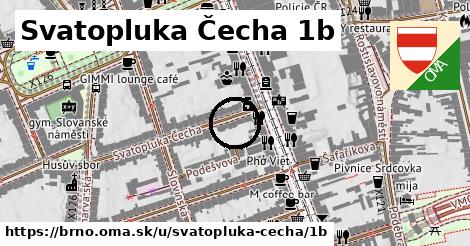 Svatopluka Čecha 1b, Brno