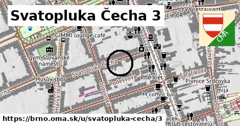 Svatopluka Čecha 3, Brno