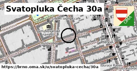 Svatopluka Čecha 30a, Brno