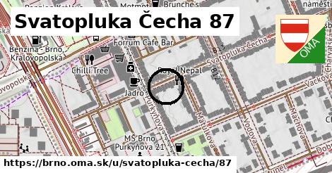 Svatopluka Čecha 87, Brno