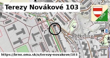Terezy Novákové 103, Brno