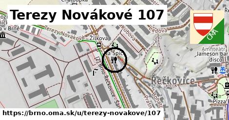 Terezy Novákové 107, Brno