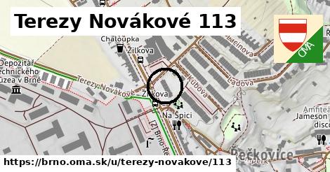 Terezy Novákové 113, Brno