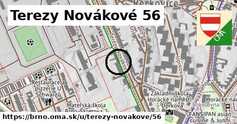 Terezy Novákové 56, Brno