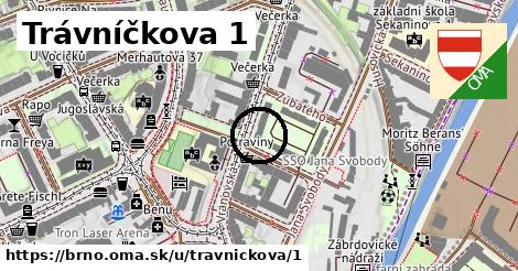 Trávníčkova 1, Brno