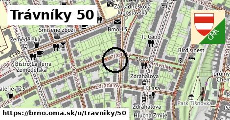 Trávníky 50, Brno