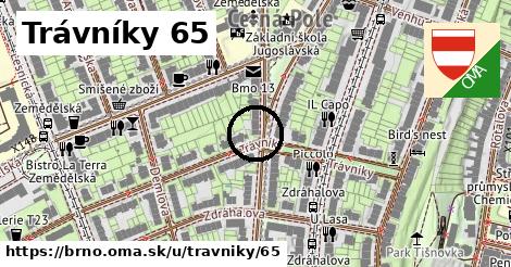 Trávníky 65, Brno