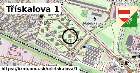 Třískalova 1, Brno