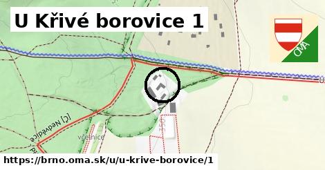 U Křivé borovice 1, Brno