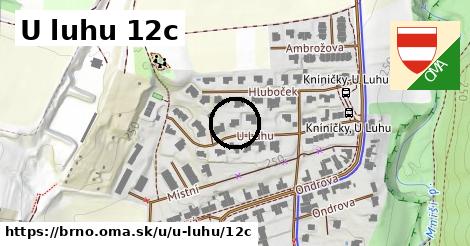 U luhu 12c, Brno