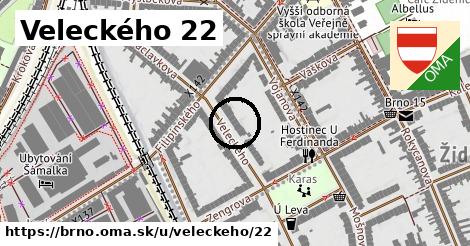 Veleckého 22, Brno