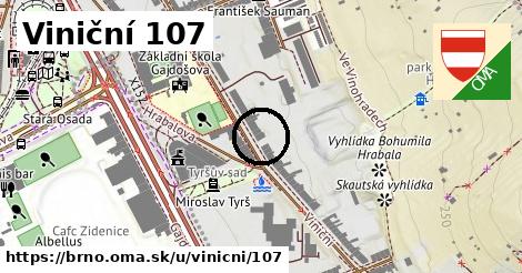 Viniční 107, Brno