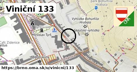 Viniční 133, Brno