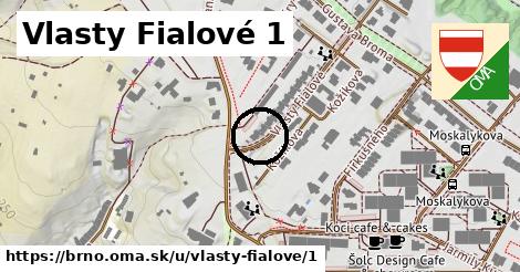 Vlasty Fialové 1, Brno