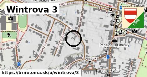 Wintrova 3, Brno
