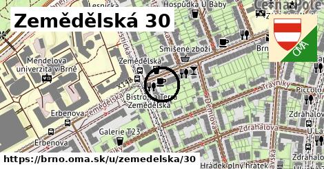 Zemědělská 30, Brno