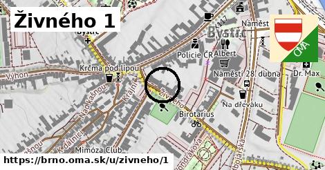 Živného 1, Brno