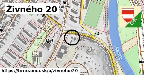 Živného 20, Brno